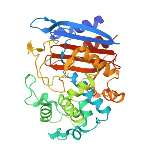 Structure 9SPL