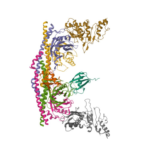 Structure 9SQV