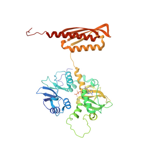 Structure 9SR9