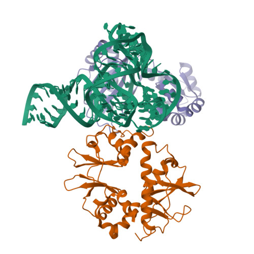 Structure 9SRF