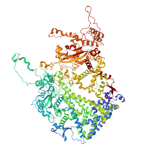 Structure 9SRQ