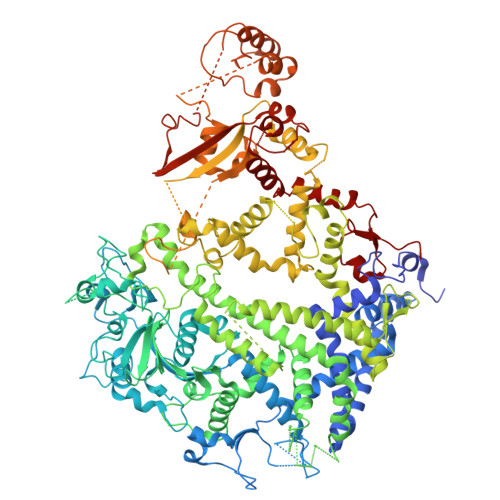Structure 9SRS