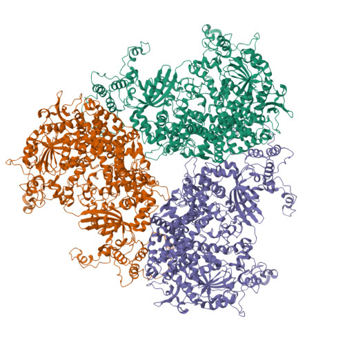 Structure 9SSC