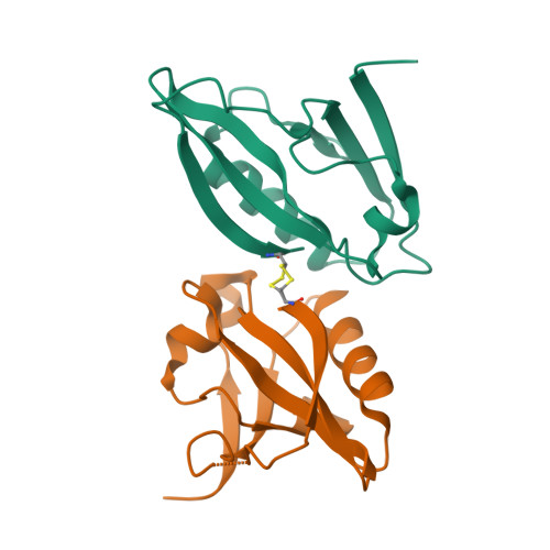 Structure 9SSJ