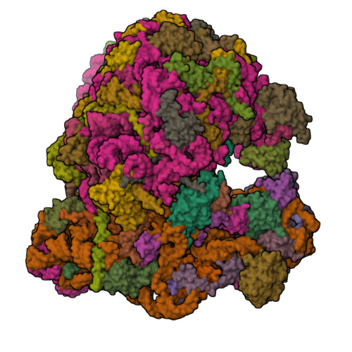 Structure 9SUL