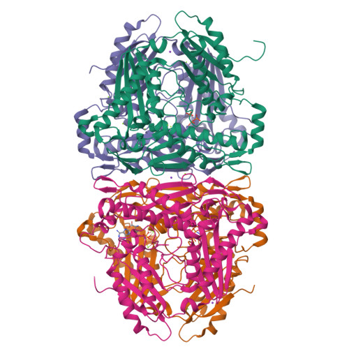 Structure 9SUP