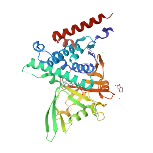 RCSB PDB - 9SUU: USP28 USP domain in complex with T-10531