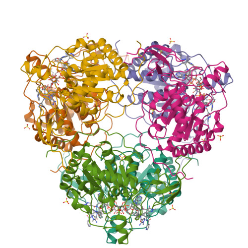 Structure 9SV4