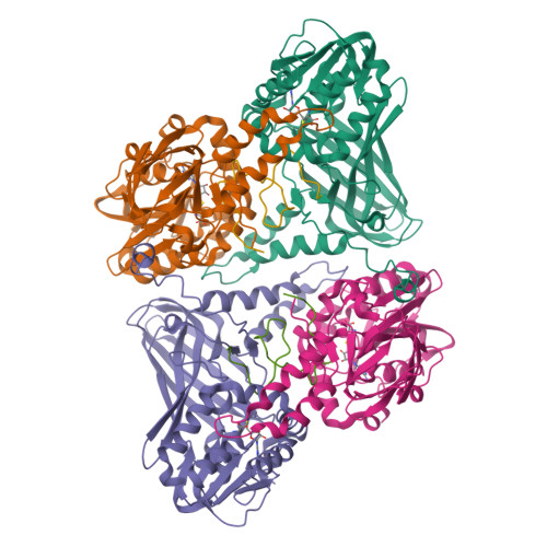 Structure 9SV7