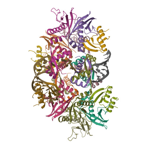 Structure 9SVK