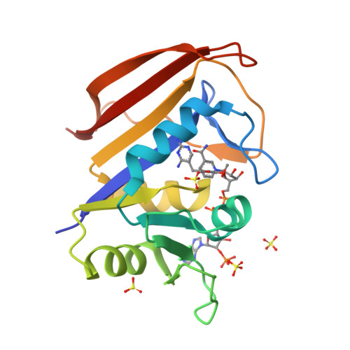 Structure 9SVM