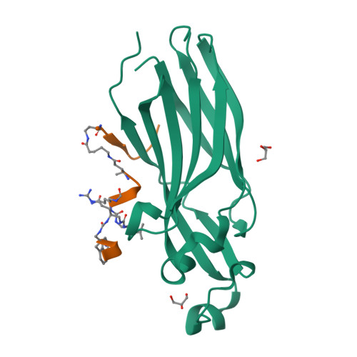 Structure 9SVO