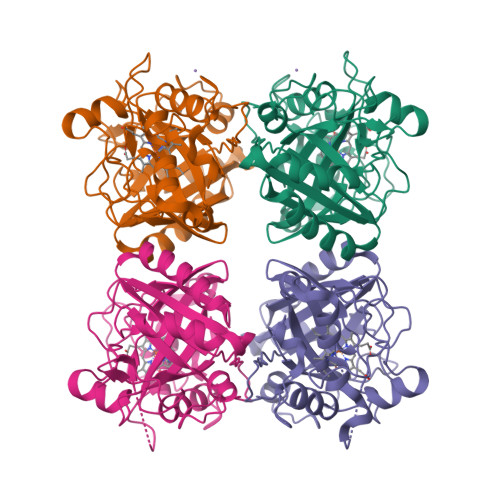 Structure 9SWG