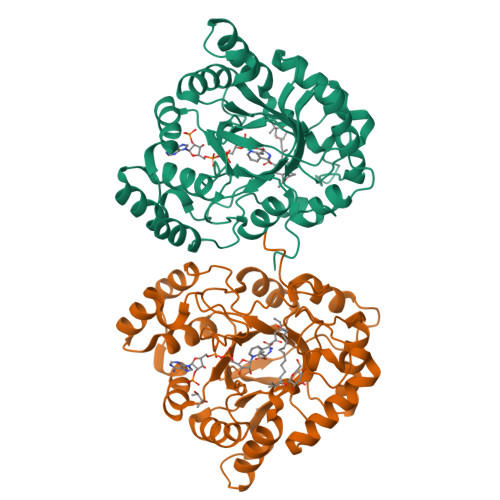 Structure 9SWH
