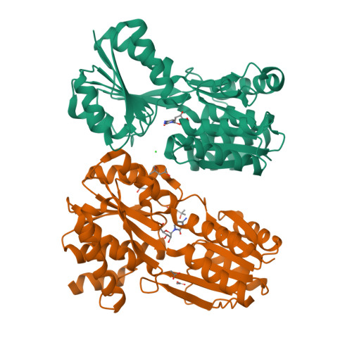 Structure 9SWV