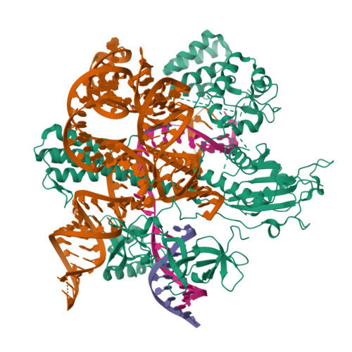 Structure 9SX0