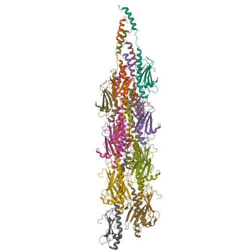 Structure 9SX9