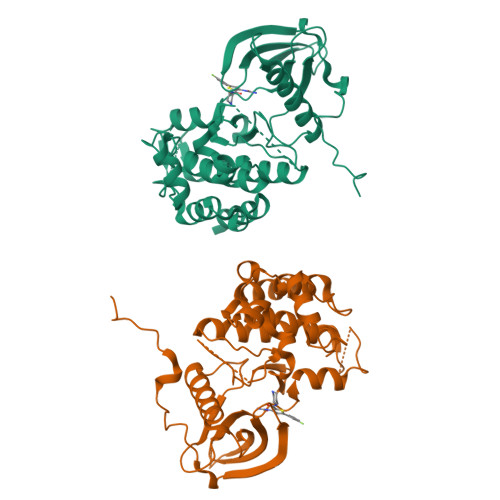 Structure 9SXE