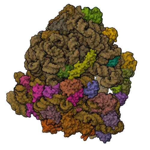 Structure 9SXK
