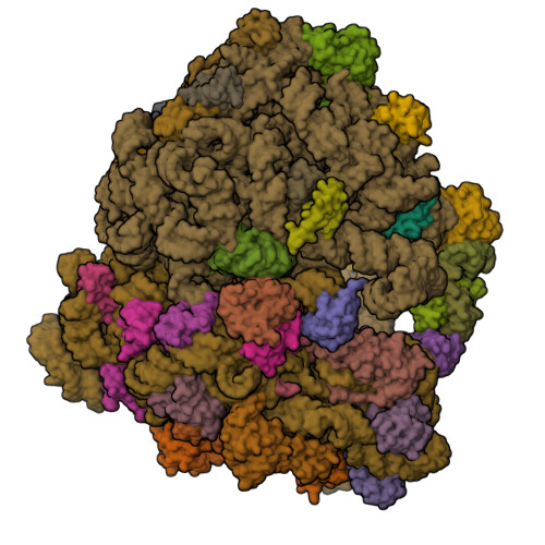 Structure 9SY6