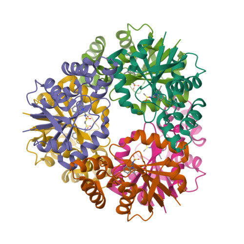 Structure 9SY7