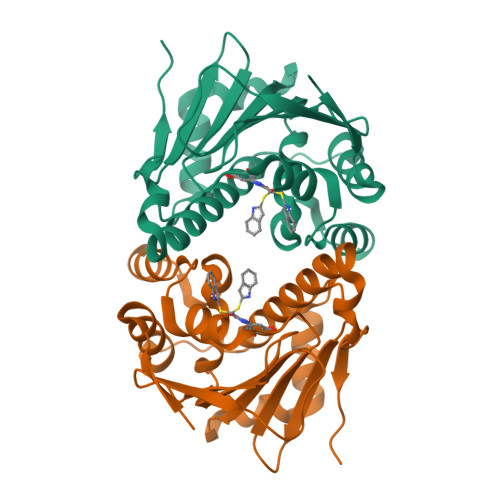 Structure 9SYO