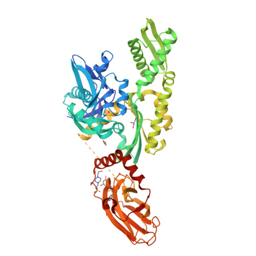 Structure 9SYP