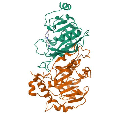Structure 9SZ0