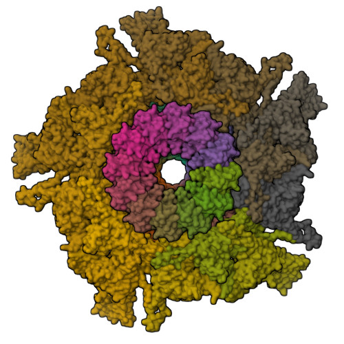 Structure 9SZA