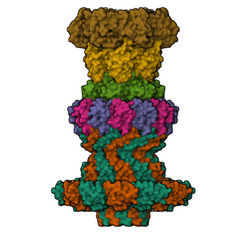 Structure 9SZC