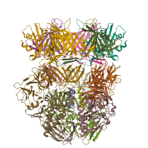 Structure 9SZE