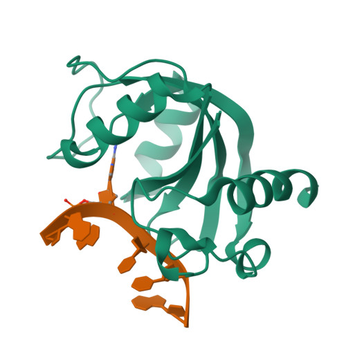 RCSB PDB - 9SZP: Crystal structure of the human YTHDC2 YTH domain in ...