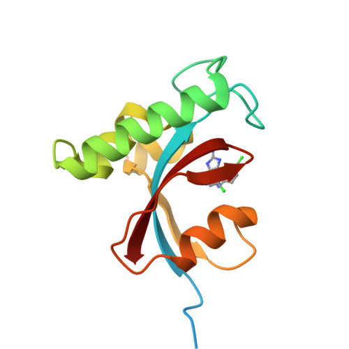 Structure 9T04