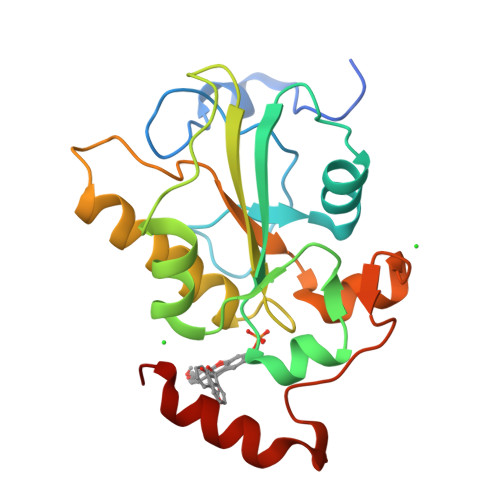 RCSB PDB - 9T0A: X-ray structure of the complex between the catalytic ...