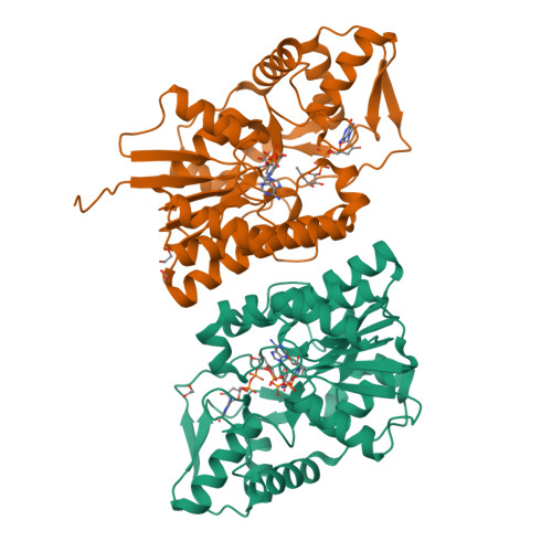 Structure 9T0G