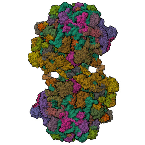Structure 9T0I