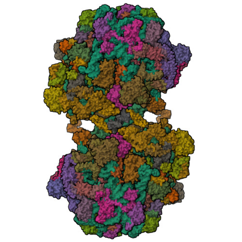 Structure 9T0J