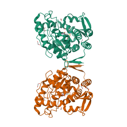 Structure 9T1O
