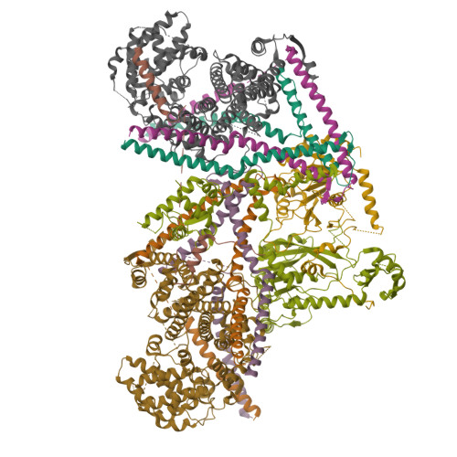 Structure 9T25