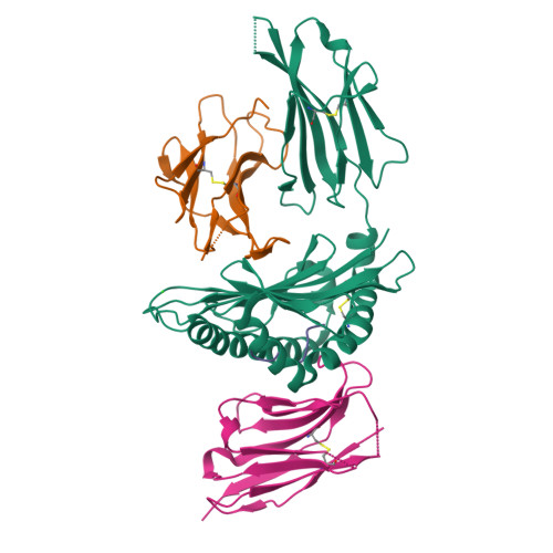 Structure 9T2C