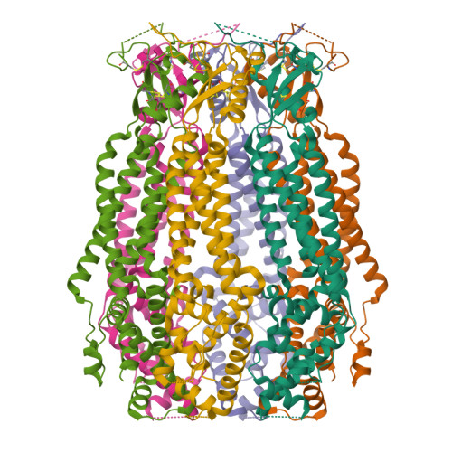 Structure 9T35