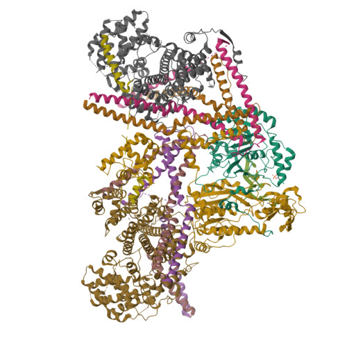 Structure 9T3B