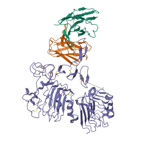 RCSB PDB - 9T3S: Structure of human HER2 in complex with EPS226 Fab