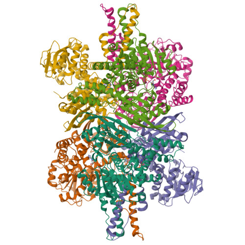 Structure 9T4U