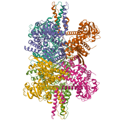 Structure 9T4X