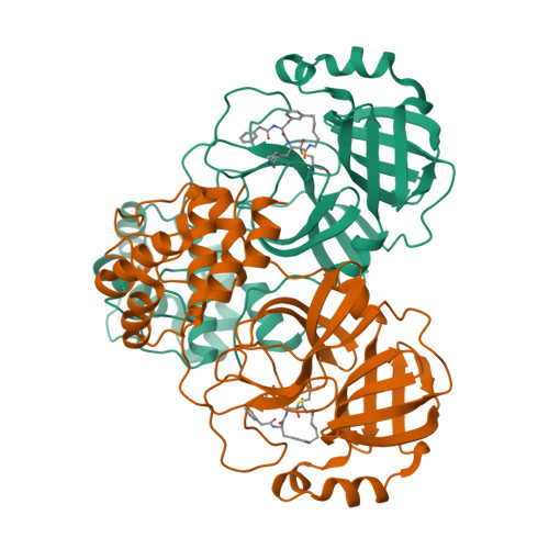 Structure 9T52