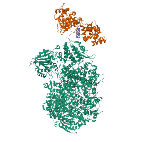 Structure 9T53