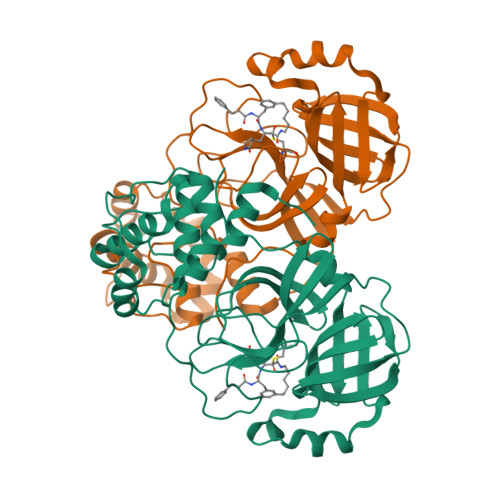 Structure 9T55