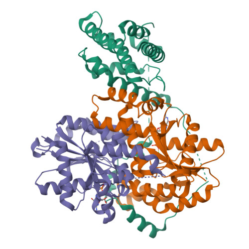 Structure 9T5J
