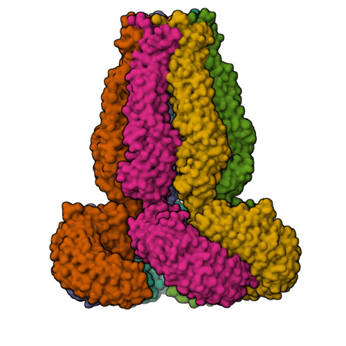 Structure 9T5M